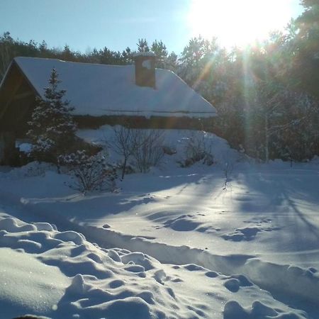 Modrzewiowa Chata Zaborze  Bagian luar foto