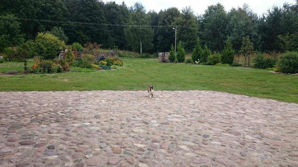 Modrzewiowa Chata Zaborze  Bagian luar foto